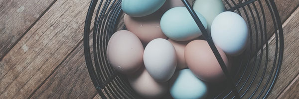 Only the best eggs